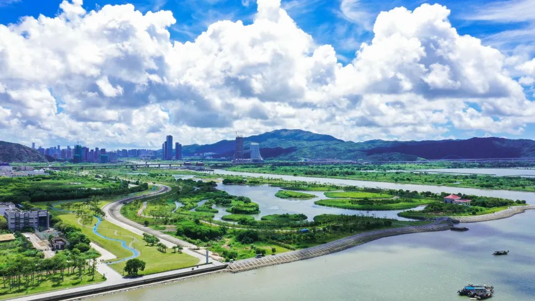 1733473818519728.jpg 4.jpg