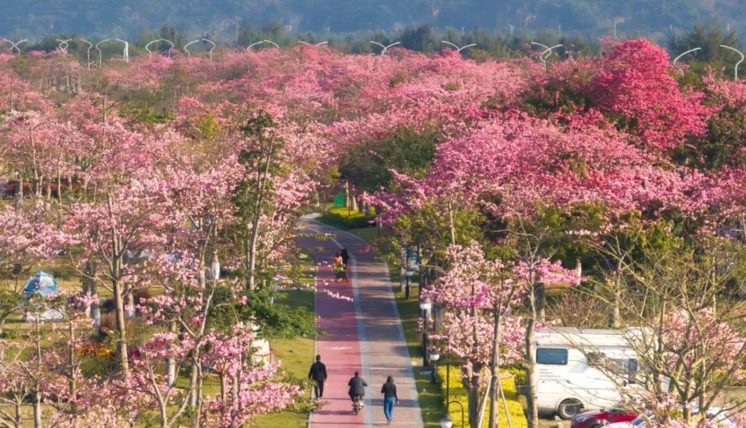 1735788253908429.jpg 28.jpg