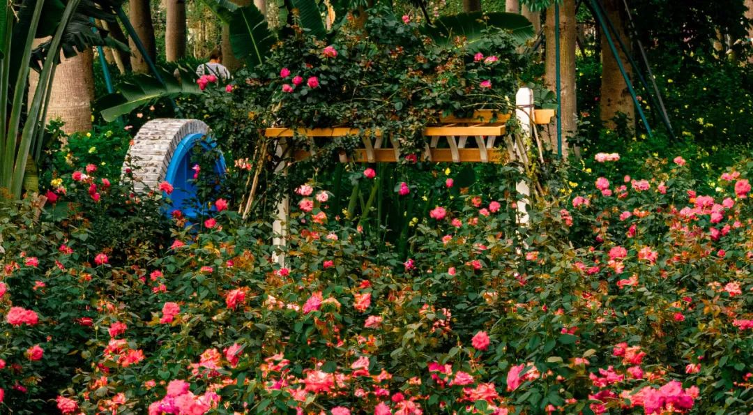 1747295951555925.jpg 18.jpg